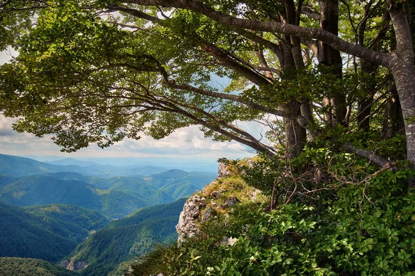 Пейзаж с известняковыми горами — стоковое фото