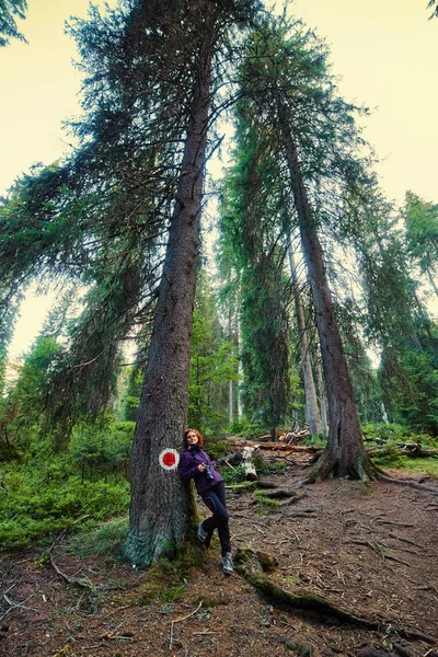 Wanderin im Wald — Stockfoto