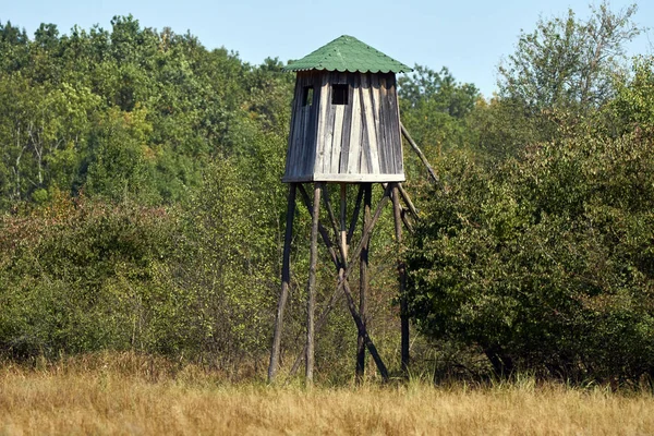 Observatoire de chasse en bois — Photo