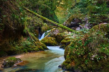 Galbena river in Apuseni national park