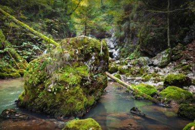 Galbena river in Apuseni national park