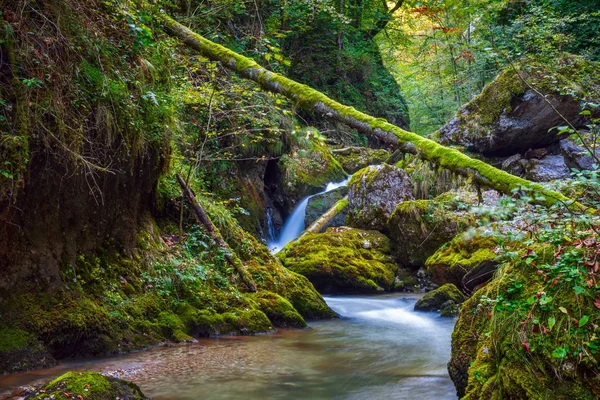 Río Galbena en el Parque Nacional Apuseni — Foto de Stock