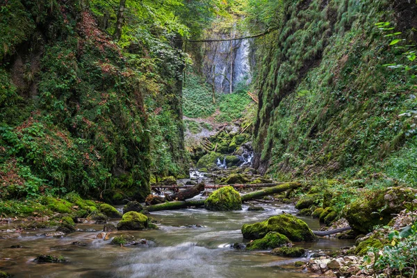 Río Galbena en el Parque Nacional Apuseni — Foto de Stock