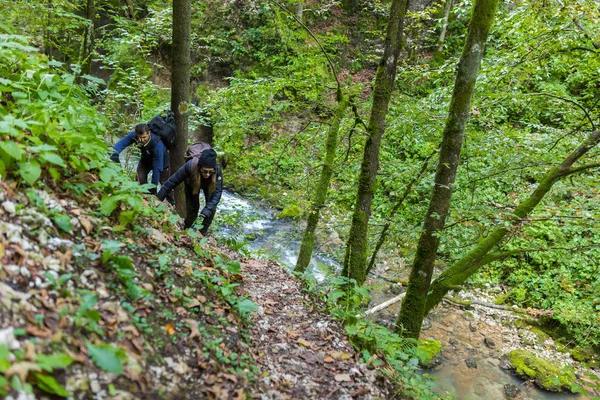 Turister vandring på skogsstig — Stockfoto