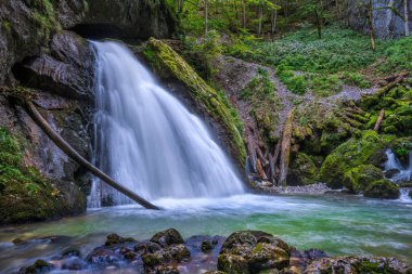 Şelale Kanyonu yosunlu kayalar ile '