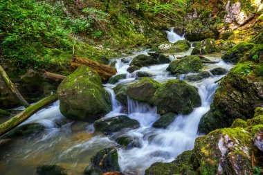 Romanya 'daki Galbena Nehri 