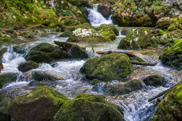 Rio Galbena em romeno — Fotografia de Stock