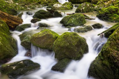 Romanya 'daki Galbena Nehri 