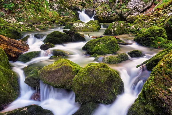 Galbena folyó román nyelven — Stock Fotó