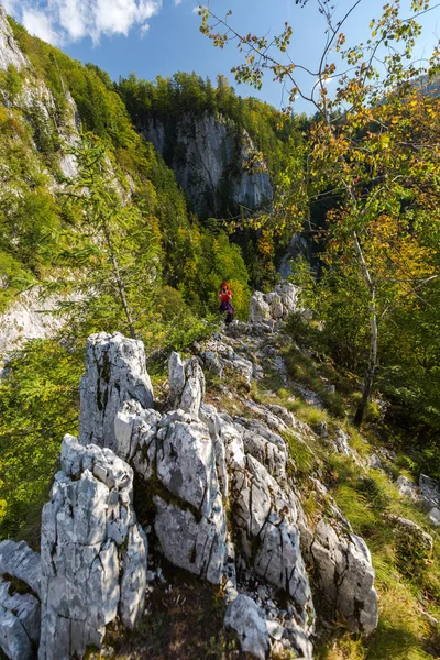 Жінка фотографує зі смартфоном — стокове фото