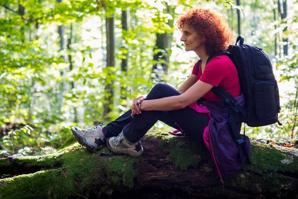 Wanderin sitzt auf Baumstamm — Stockfoto