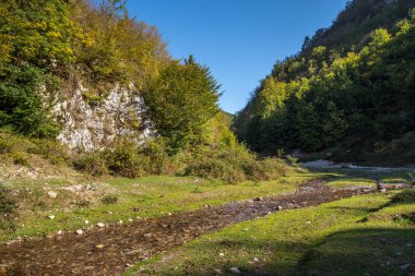 Dağ nehri ile güzel manzara 