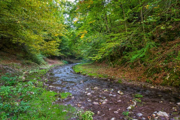 Hermoso paisaje con río de montaña — Foto de Stock