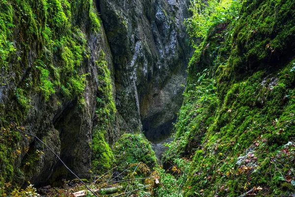 Kanyon ile güzel manzara — Stok fotoğraf