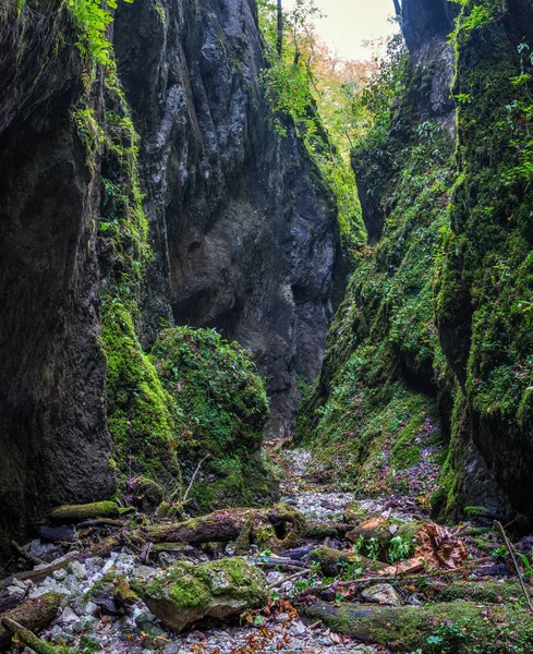 Красивий краєвид з каньйоном — стокове фото