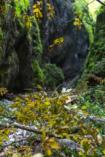 Mooi landschap met canyon — Stockfoto