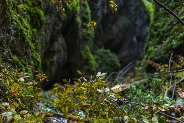 Kanyon ile güzel manzara — Stok fotoğraf