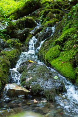 Kanyon ile güzel manzara 
