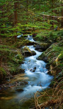 Dağ nehri ile güzel manzara
