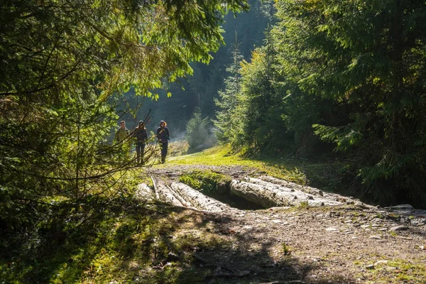 Wandelaars met rugzakken wandelen op trail — Stockfoto