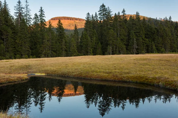 Montanha lago e pinheiros — Fotografia de Stock