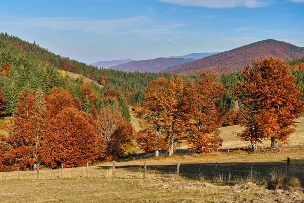 Schöne Herbstlandschaft — Stockfoto