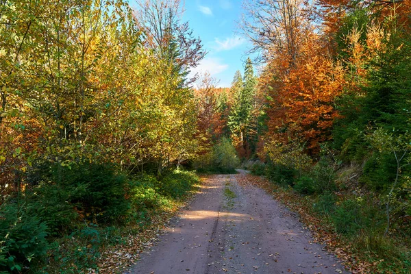 Dirt road through autumnal landscape — Stock Photo, Image