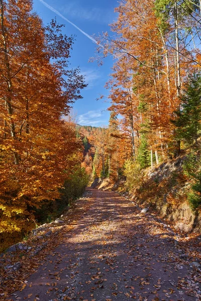 Dirt road through autumnal landscape — Stock Photo, Image
