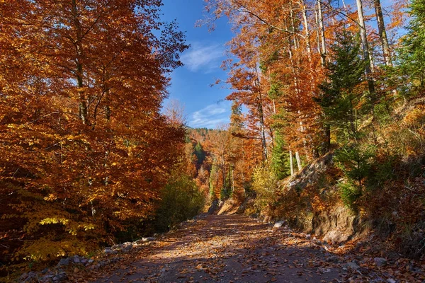 Polnej drodze przez jesienny krajobraz — Zdjęcie stockowe