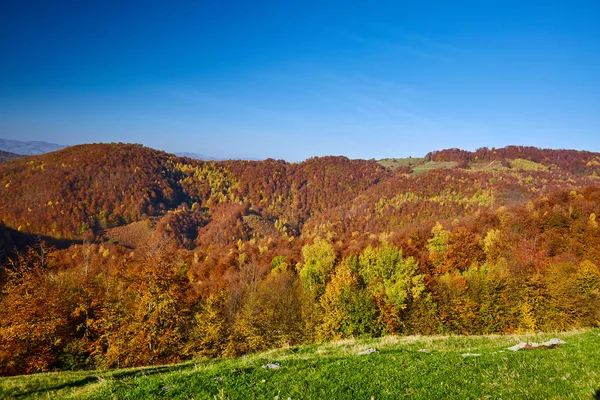 Bela paisagem outono — Fotografia de Stock