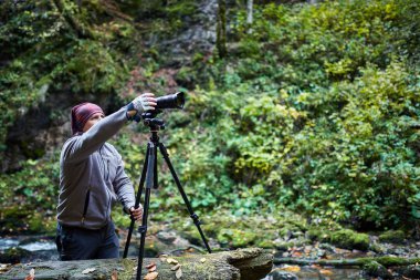 fotoğrafçı yaz ormandaki