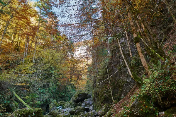 Schöne herbstliche Landschaft — Stockfoto