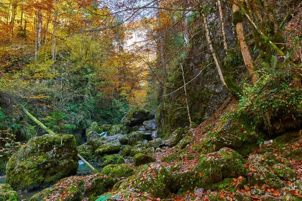 Piękny krajobraz jesienny — Zdjęcie stockowe