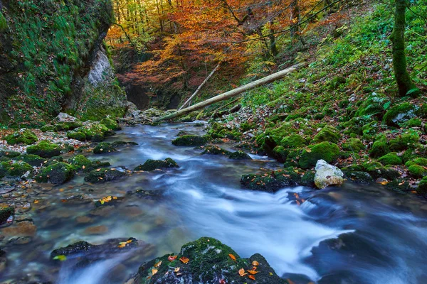 Mooie herfst landschap — Stockfoto