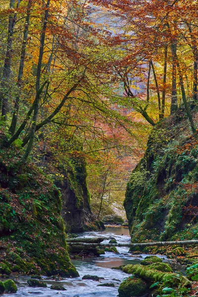 Krásné podzimní krajina — Stock fotografie