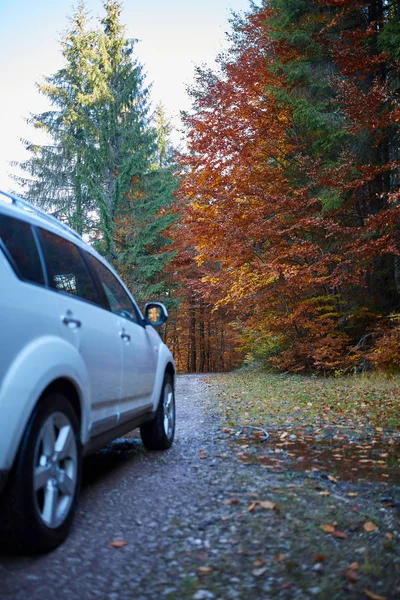 Passenger car in forest — Stock Photo, Image