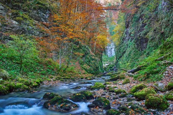 Beautiful autumnal landscape — Stock Photo, Image