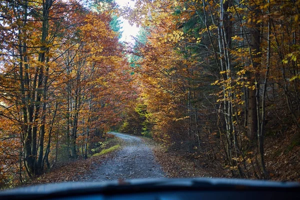 Prachtige herfst boszicht uit auto — Stockfoto