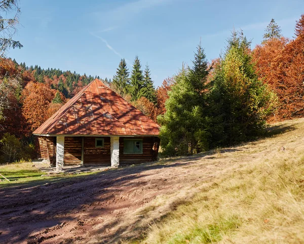 Кабіна в лісі на горі — стокове фото