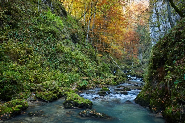 Krásné podzimní krajina — Stock fotografie