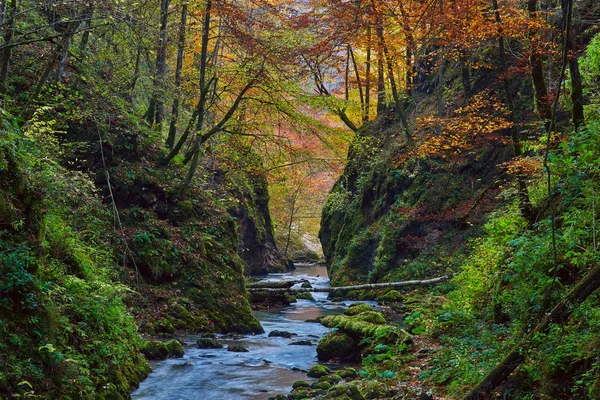 Hermoso paisaje otoñal — Foto de Stock