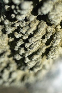 Mağaranın iç speleothemes