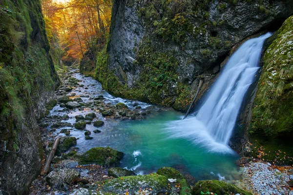 Teče vodopád v rokli — Stock fotografie