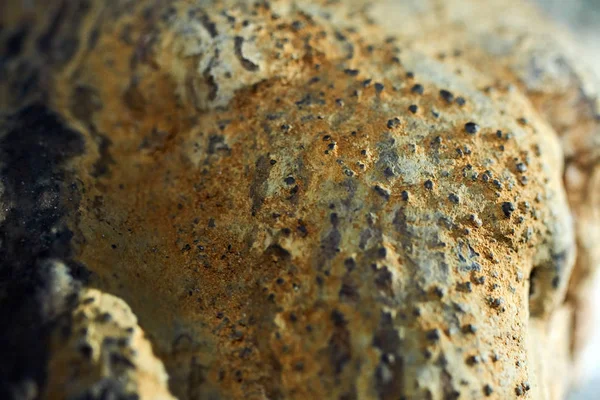 Espeleotemas en el interior de la cueva — Foto de Stock