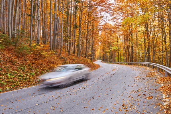 Carro acelerando através da floresta — Fotografia de Stock