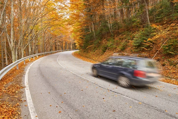 Car speeding through forest — Stock Photo, Image