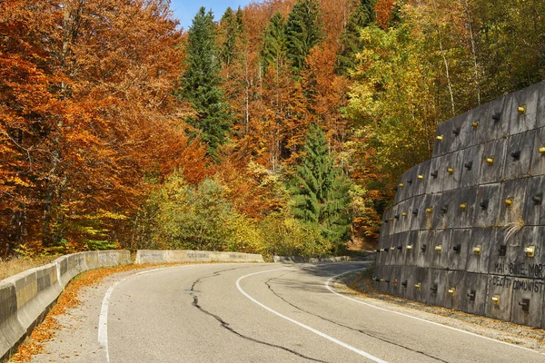 Asphaltstraße durch bunten Wald — Stockfoto