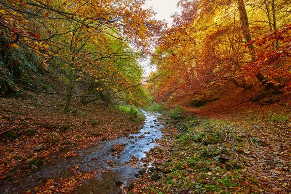 美丽的秋天风景 — 图库照片