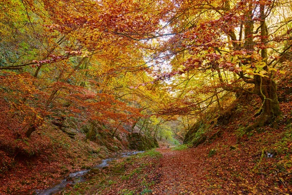 Mooie herfst landschap — Stockfoto