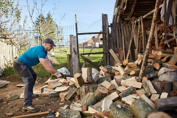 나무로 되는 통나무를 분할 하는 사람 — 스톡 사진